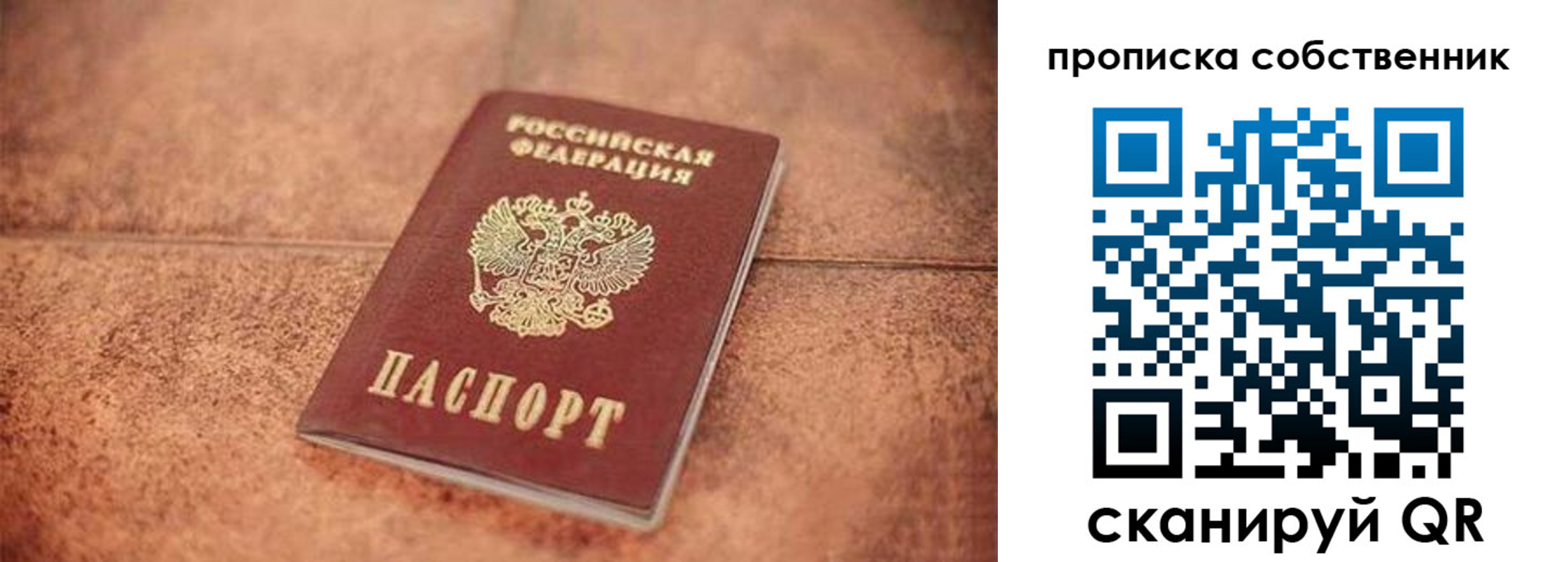 где прописаться в Ярославской области